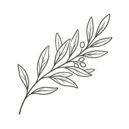 Daily Stoic app logo